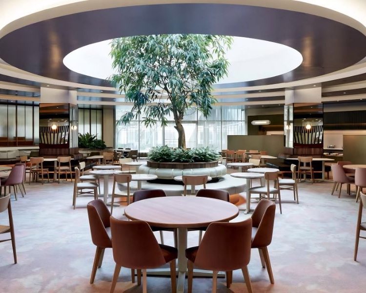 Double Tree 6
